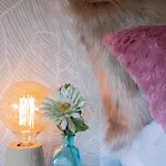 Luxury Singular Apartman *