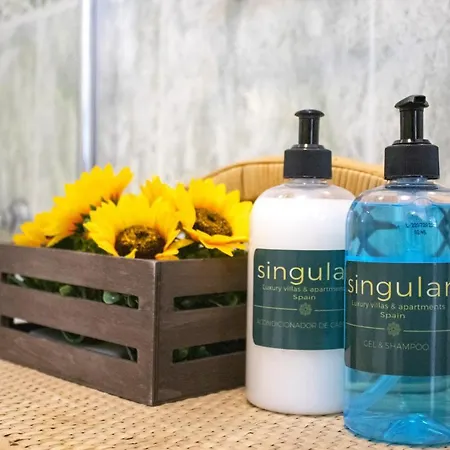 Luxury Singular Apartmán